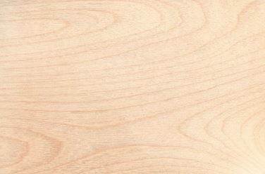 Möbel aus Massivholz kaufen – Die besten Holzarten für Möbel erkennen